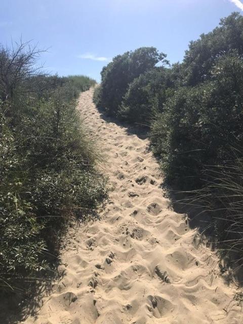 Duinstrand Burgh-Haamstede Esterno foto